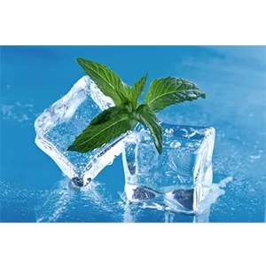 daun eskimo daun eskimo