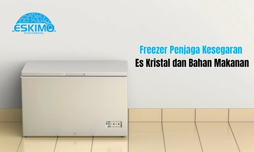 Freezer Penjaga Kesegaran Es Kristal dan Bahan Makanan